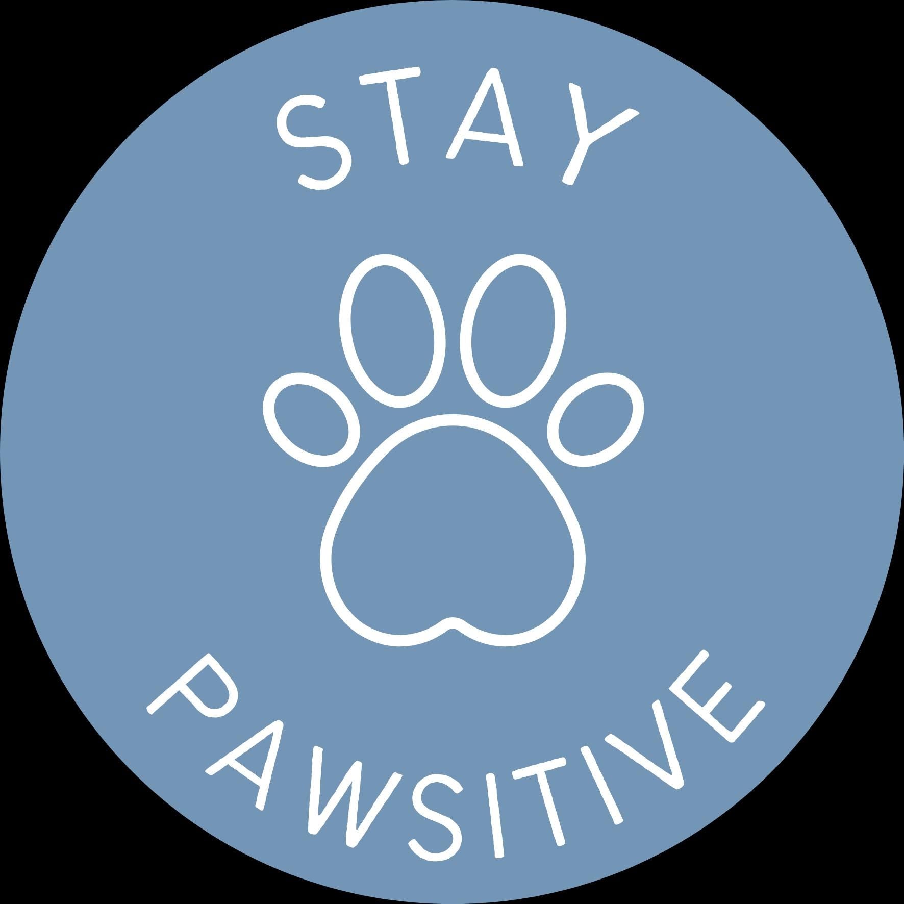 5 CAT Sticker Pack - Charitable Wear-IT-ables